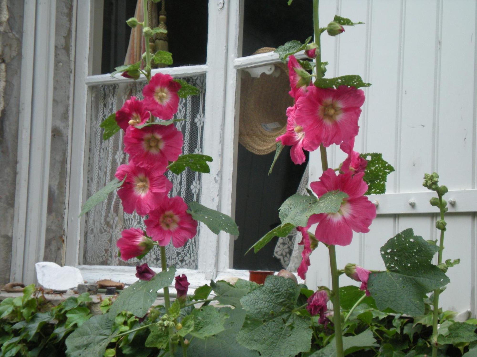 Gasthof Cocooning
